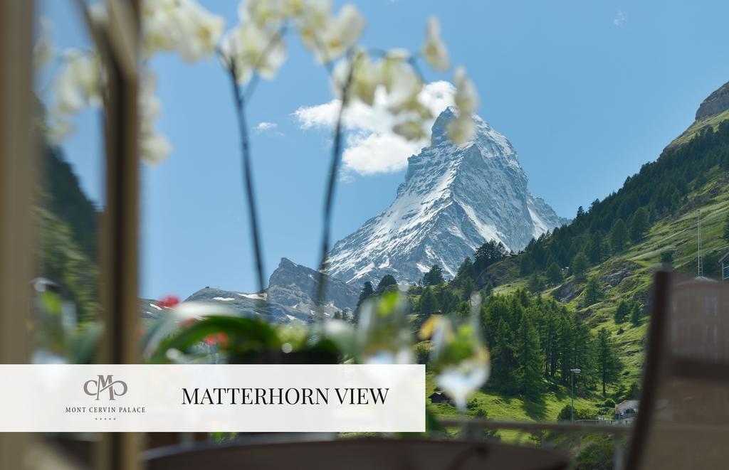Alpine 1-Bedroom Suite Matterhorn View,155425847:JPEG